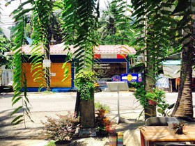 Sleepy Owl hostel