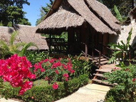 Tarzan Island Bungalow