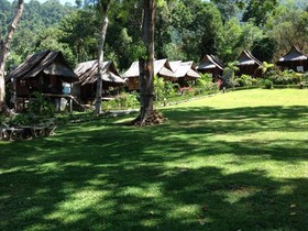 Tarzan Island Bungalow