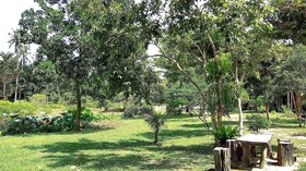 Baan Bua Cottage