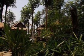 Bamboo Hideaway Boutique Resort