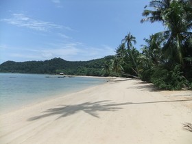 Coconut Villa