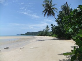 Coconut Villa