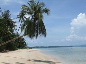Coconut Villa