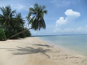 Coconut Villa