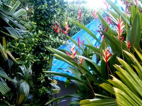 Koh Mak Buri Hut Natural Resort