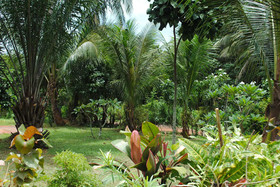 Swiss Sawasdee Koh Mak