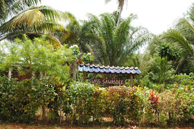 Swiss Sawasdee Koh Mak