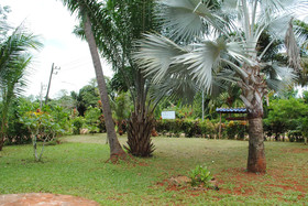 Swiss Sawasdee Koh Mak