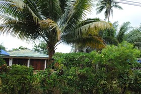 Swiss Sawasdee Koh Mak