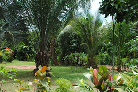Swiss Sawasdee Koh Mak