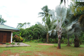 Swiss Sawasdee Koh Mak