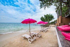 Bar and Bed Resort