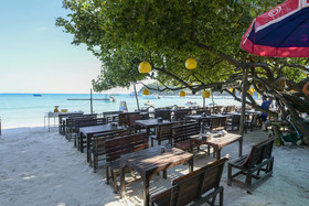 Tom Pizza Resort by OYO Rooms
