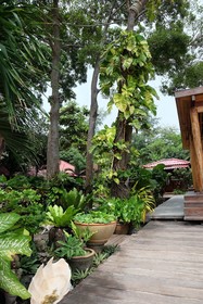 Tonsak Resort