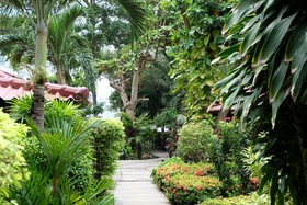 Tonsak Resort