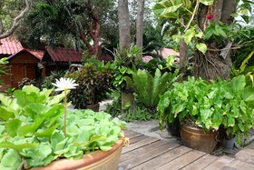 Tonsak Resort