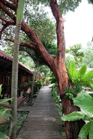 Tonsak Resort