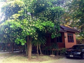 Pang Narai Resort
