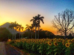 Pasak Hillside Resort