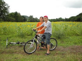 Pasak Hillside Resort