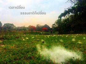Pasak Hillside Resort