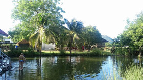 Wanlapa Farmstay