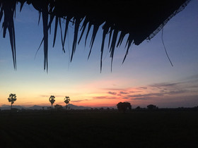 Wanlapa Farmstay