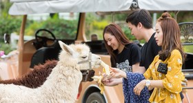 Resort Huangchui Baan Phu Khao