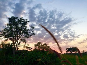Tongta Homestay