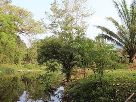 Ma Kham Forest Resort