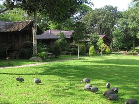 Rabiangprai Valley