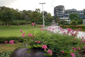 360 Condotel Khaoyai