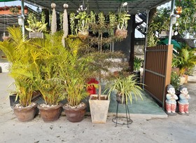77 Resort
