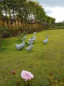 Baan Suan Pai Noppakao