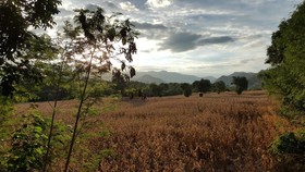 Ban Mai Chai Khao