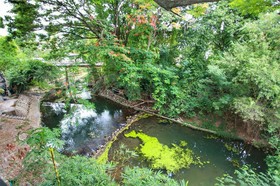 Bann Yang Tree Homestay