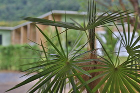 Curve 360 Hotel Khaoyai