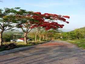 Eden Hill Resort Khao Yai