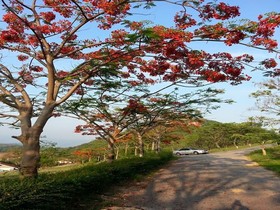 Eden Hill Resort Khao Yai