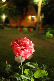 Kanghanrak Theme Houses