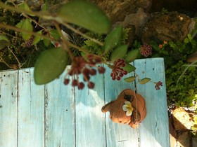 Khao Yai Cottage