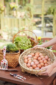La Cocotte Villa & Farm Khao Yai