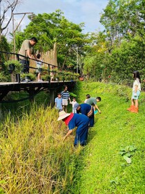 La Cocotte Villa & Farm Khao Yai