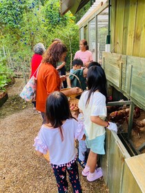 La Cocotte Villa & Farm Khao Yai