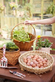 La Cocotte Villa & Farm Khao Yai