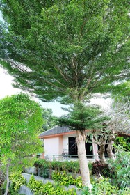 Lilawalai Resort