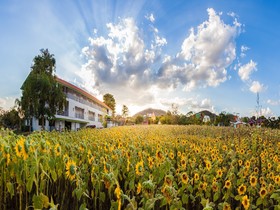 Ozone Health Resort