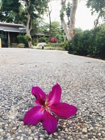 Ozone Hotel Khao Yai