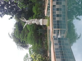 Ozono Italia Poll Villa